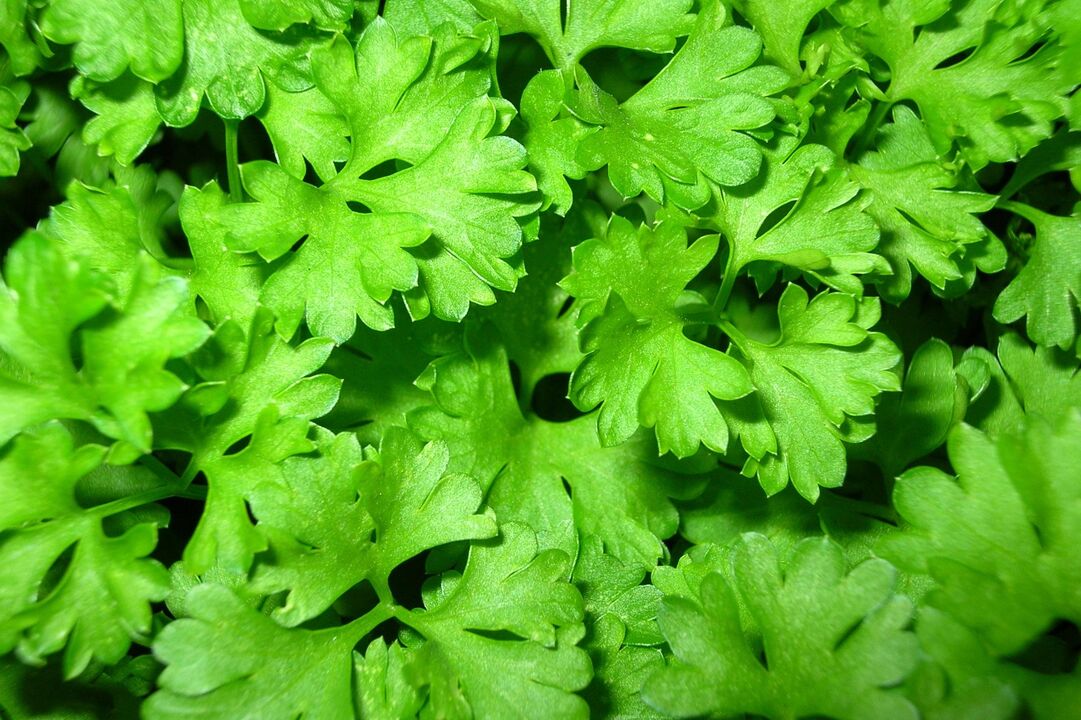 The potency to increase parsley